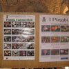 mostra micologica anno 2010 - 2